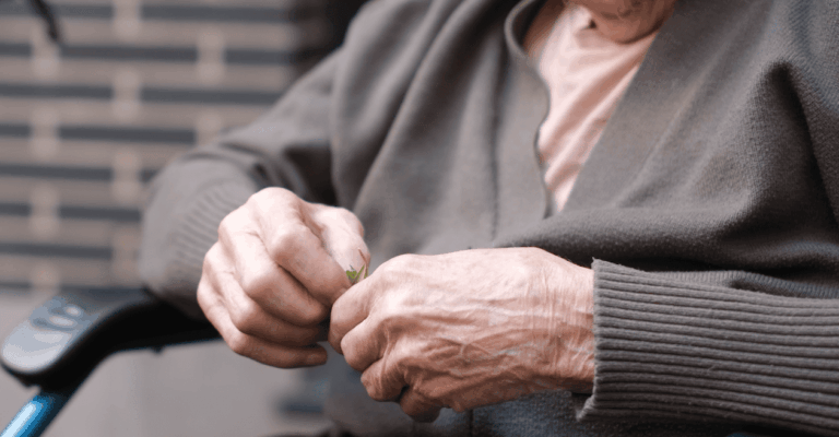 Estancias temporales en residencias
