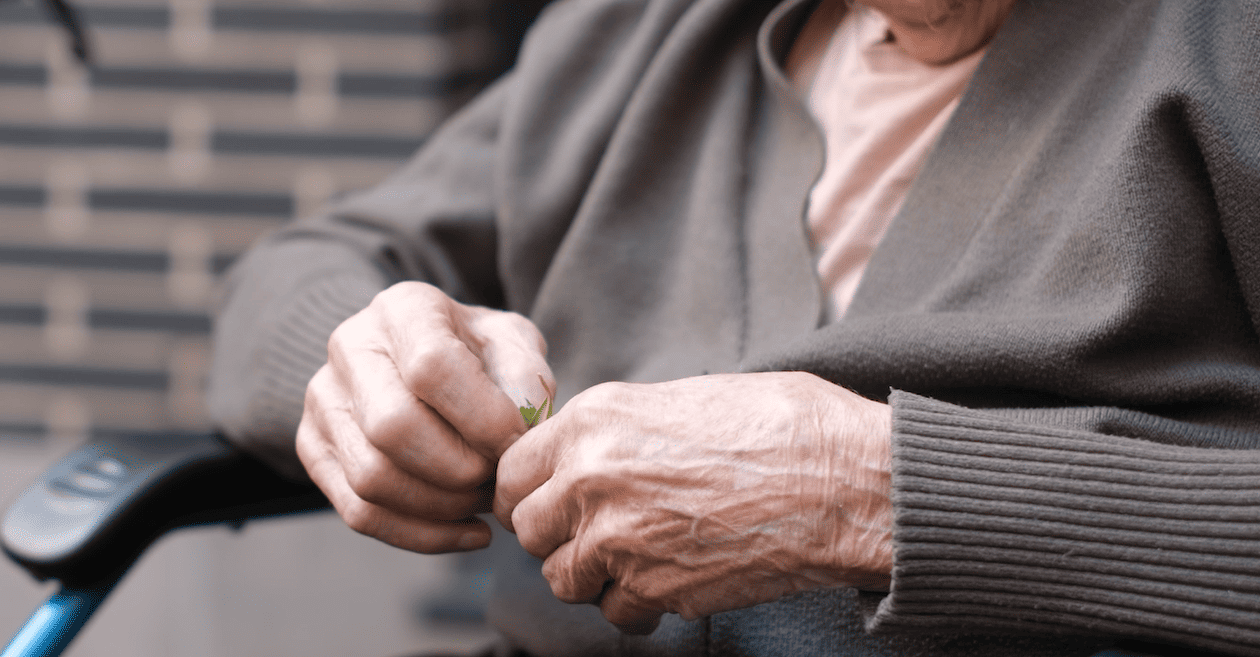 Estancias temporales en residencias